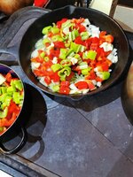 IMG_20250427_181818.jpg
