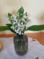IMG_20250427_183350.jpg