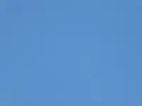 029.webp