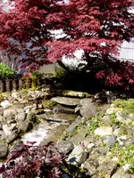 018.webp