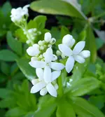 026.webp
