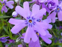 012.webp