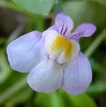 010.webp