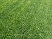 2025Rasen1.webp
