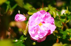 _MG_8817.JPG