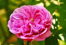 _MG_8821.webp