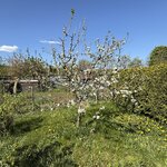 IMG_4099.jpeg