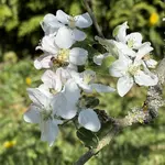 IMG_4100.jpeg