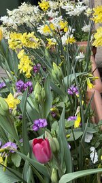 IMG_4110.jpeg
