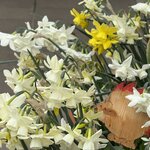 IMG_4106.jpeg