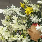 IMG_4106.jpeg
