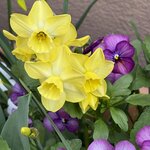 IMG_4104.jpeg