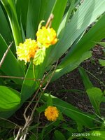 IMG_20250429_143946.jpg