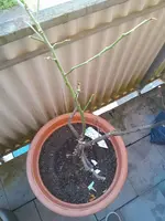 20250429_092351.webp