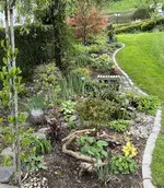 IMG_5081.webp