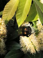 IMG_20250429_170600.jpg