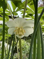 IMG_8460.jpeg
