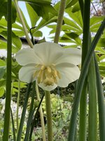 IMG_8460.jpeg