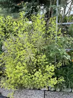 IMG_8469.jpeg