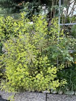 IMG_8469.jpeg