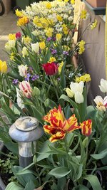 IMG_4143.jpeg