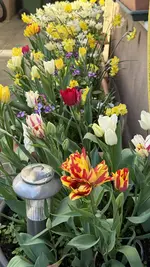 IMG_4143.jpeg