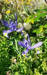 20250430_111639.webp
