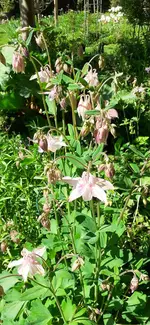 20250430_111612.webp