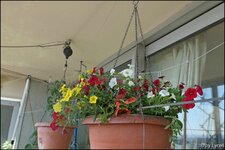 c080.jpg