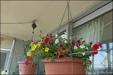 c080.webp