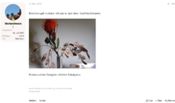 Screenshot 2025-04-30 at 16-02-15 Blumensträuße im Haus - Page 2 - Hausgarten.net.png