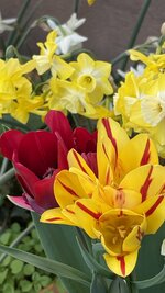 IMG_4146.jpeg