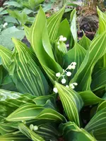 20250430_121717.webp