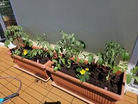 20250501_122409.jpg