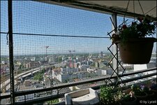 c007.jpg