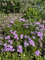 IMG_0266.JPEG