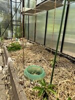 IMG_4203.jpeg