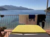 IMG_1985.jpeg