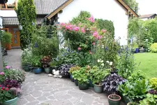 Terasse             1324.webp