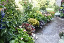 Terasse             2724.webp