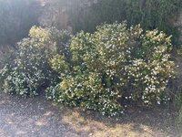 IMG_2002.jpeg