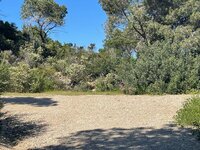 IMG_1999.jpeg
