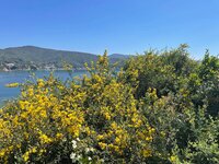 IMG_1994.jpeg