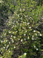IMG_1991.jpeg
