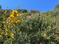 IMG_1989.jpeg