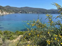 IMG_1986.jpeg