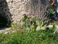 006.webp