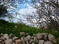 030.webp