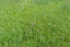 010.webp