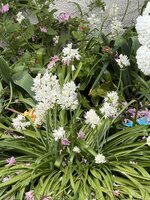 IMG_6697.jpeg